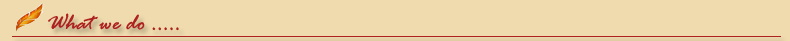 about_whatwedo.gif (3735 bytes)